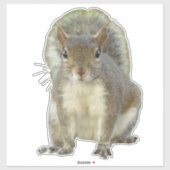 Sticker Face à face d'écureuil (Feuille)