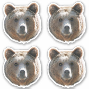Sticker Face de l'ours grizzli
