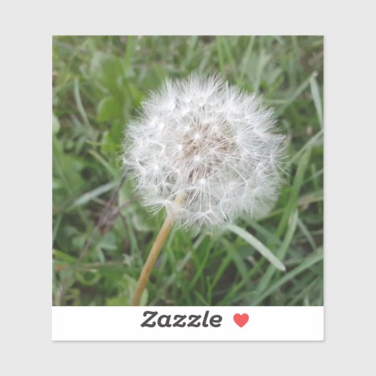 Sticker Faire un voeu (Feuille)