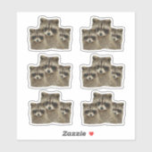 Sticker Famille de Raccoons (Feuille)