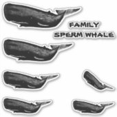 STICKER FAMILLE DE SPERM WHALE (Devant)