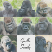 Sticker Famille Gorilla (Devant)