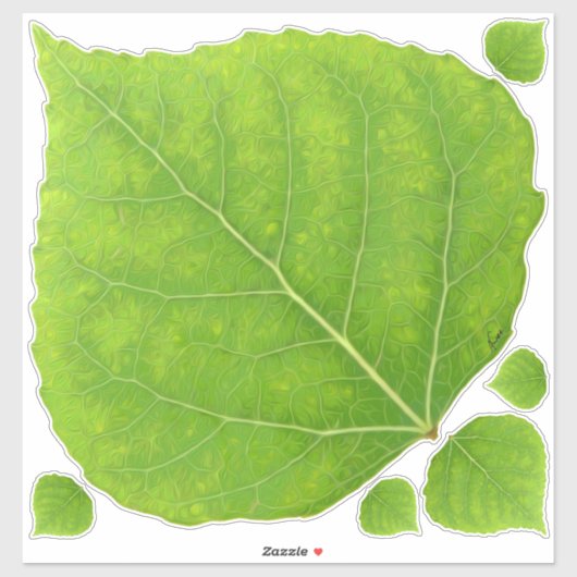 Sticker Feuille d'Aspen vert #11 (Feuille)