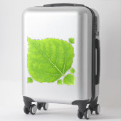 Sticker Feuille d'Aspen vert #11 (Sur valise)