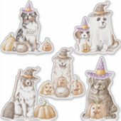 Sticker Feuille d'autocollant Haunée Canine Witchy Dog Hal (Devant)