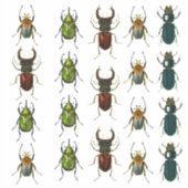 Sticker Feuille d'autocollants découpés en vinyle de Beetl (Devant)