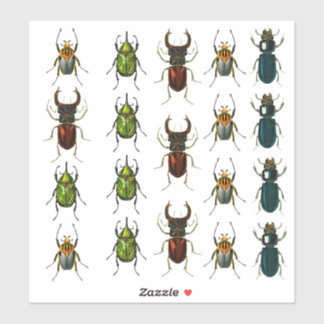 Sticker Feuille d'autocollants découpés en vinyle de Beetl