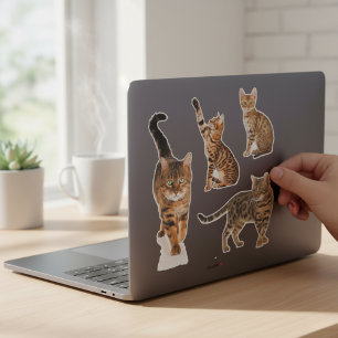 Sticker Feuille d'autocollants personnalisés pour chat Ben
