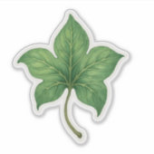 Sticker Feuille de lierre verte botanique (Devant)