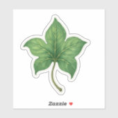 Sticker Feuille de lierre verte botanique (Feuille)