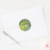 Sticker Feuille Lupine rempli d'eau (Enveloppe)