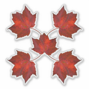 Sticker Feuilles d'automne