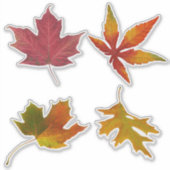 Sticker Feuilles d'automne assorties (Devant)