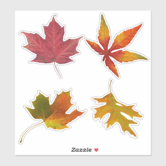 Sticker Feuilles d'automne assorties (Feuille)