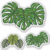 Sticker Feuilles de Monstera (Devant)