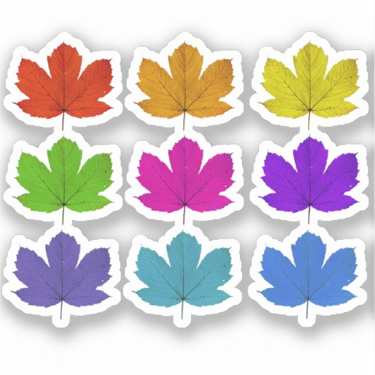 Sticker Feuilles d'érable colorés (Recto)