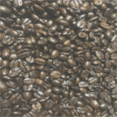 Sticker Fèves de café (Devant)