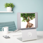 Sticker Ficus Ginseng (Ordinateur portable sur le bureau)