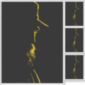 Sticker Fidel Castro, Président, Révolution, Cuba, La Hava (Devant)