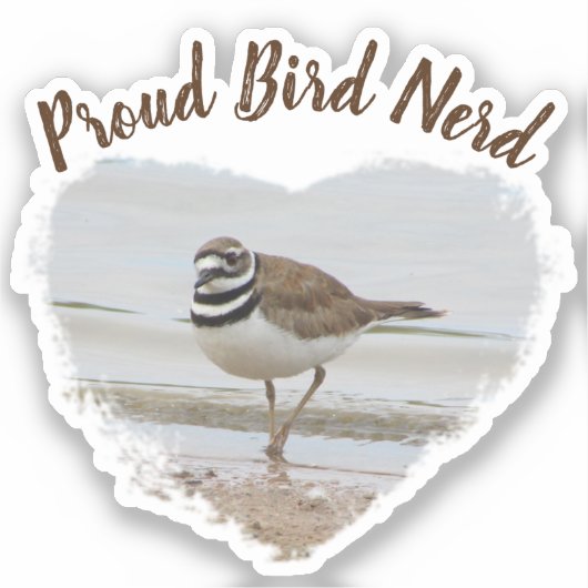 Sticker Fier Oiseau Nerd Bécasseau côtier Hobby Oiseau (Recto)