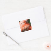 Sticker Flamant rose (Enveloppe)