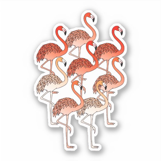 Sticker Flamants roses couleur corail (Devant)