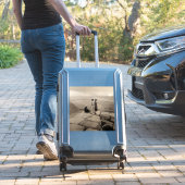 Sticker Flapper Girls Sunrise Khufu Pyramid, Égypte 1920 (Valise Insitu)