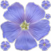 Sticker Flèche bleue n° 1 (Devant)