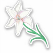 Sticker Fleur blanche (Recto)