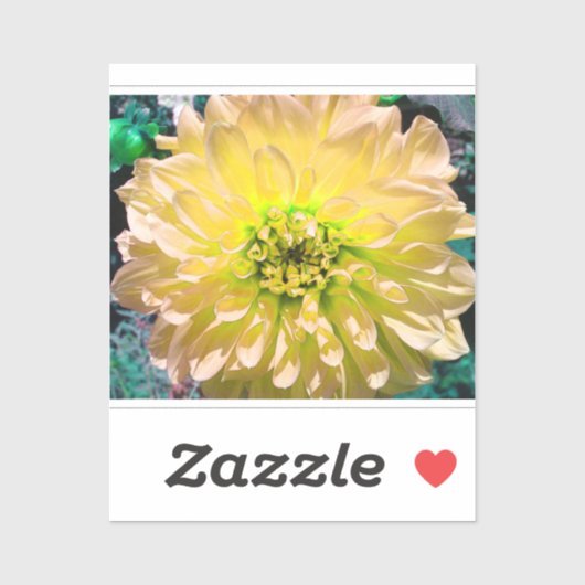 Sticker Fleur Dahlia Jaune (Feuille)