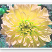Sticker Fleur Dahlia Jaune (Recto)