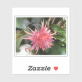Sticker Fleur de bromélie (Feuille)