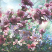 Sticker Fleur de cerisier (Devant)