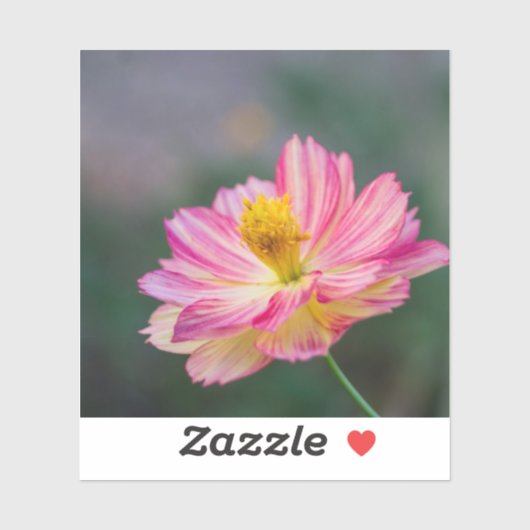 Sticker fleur de Cosmos Garden (Feuille)
