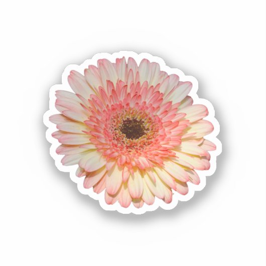 Sticker Fleur de germe rose simple (Recto)