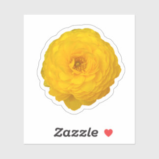 Sticker Fleur de marguerite transvale jaune
