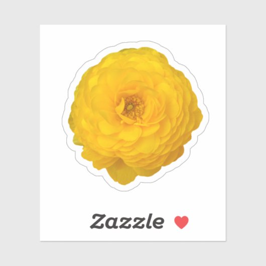 Sticker Fleur de marguerite transvale jaune (Feuille)