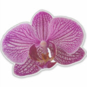 Sticker Fleur d'orchidée rose Magenta (Devant)