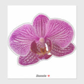 Sticker Fleur d'orchidée rose Magenta (Feuille)