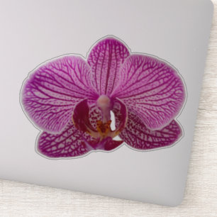 Sticker Fleur d'orchidée rose Magenta