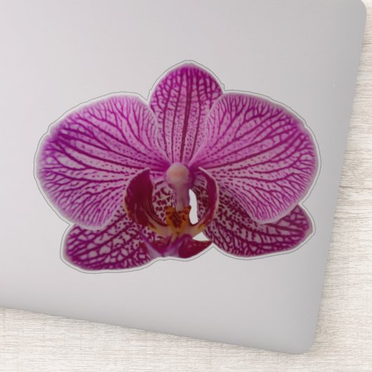 Sticker Fleur d'orchidée rose Magenta (Détail)