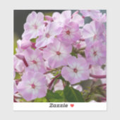 Sticker Fleur d'unité – Phlox rose (Feuille)