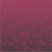 Sticker Fleur Écrasée (Devant)