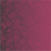 Sticker Fleur Écrasée (Devant)