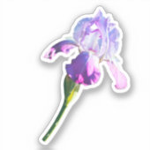 Sticker Fleur Iris Violet | Fleur de naissance de février (Recto)