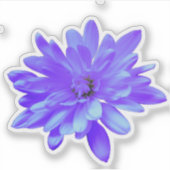Sticker Fleur pourpre fleurie bleu floral bleu violet (Devant)
