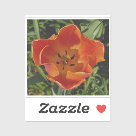 Sticker fleur printanière rouge (Feuille)