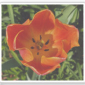 Sticker fleur printanière rouge (Recto)