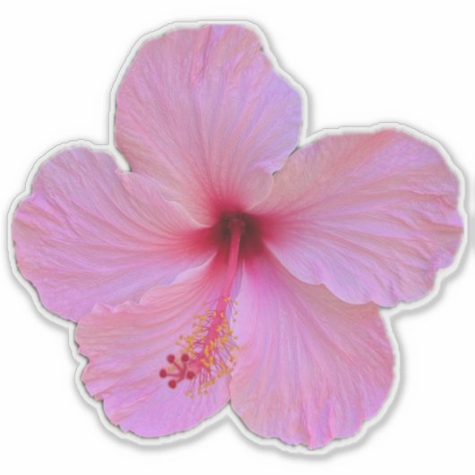 Sticker Fleur rose (Devant)