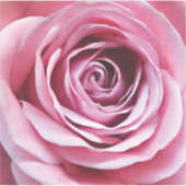 Sticker Fleur rose dans le jardin fleuri (Devant)